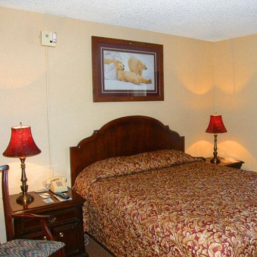 Beluga Lake Lodge Homer Chambre photo